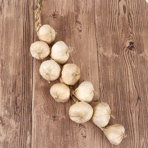 Artificial Garlic Onion